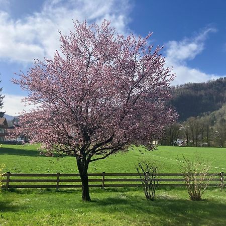 Open Garden Mountain Lodge Oberaudorf Exterior foto